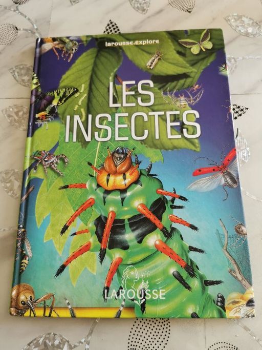 Les insectes | Larousse