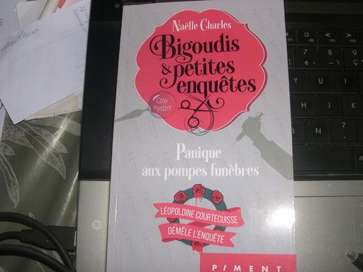 Bigoudis & petites enquêtes  tome 2 | Naelle Charles 