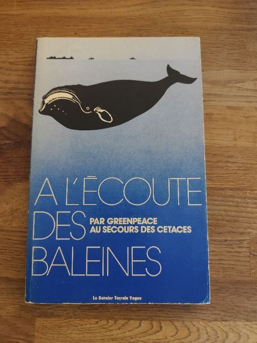 A l'écoute des baleines | Greenpeace