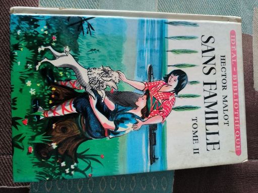 Sans famille - Tome 2 | Hector Malot