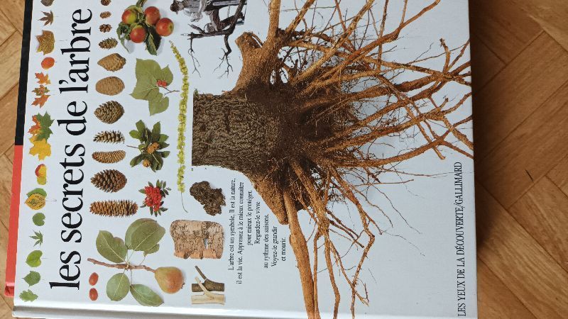 Les yeux de la découverte - Les secrets de l'arbre | David Burnie