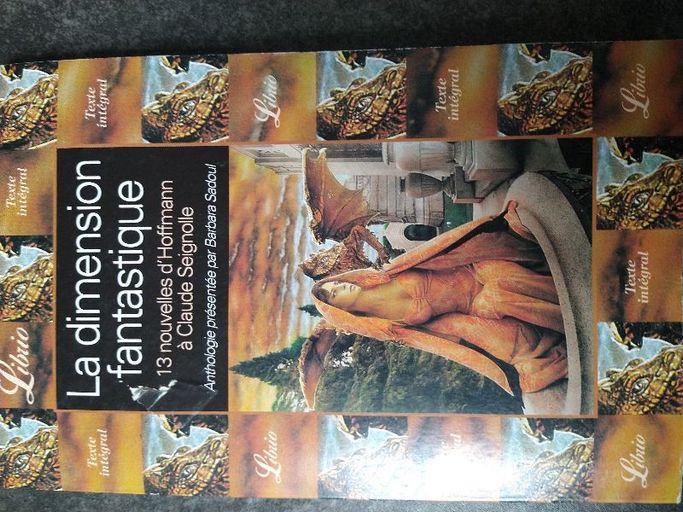 La dimension fantastique. 13 nouvelles d'Hoffmann à Claude Seignolle | Barbara Sadoul