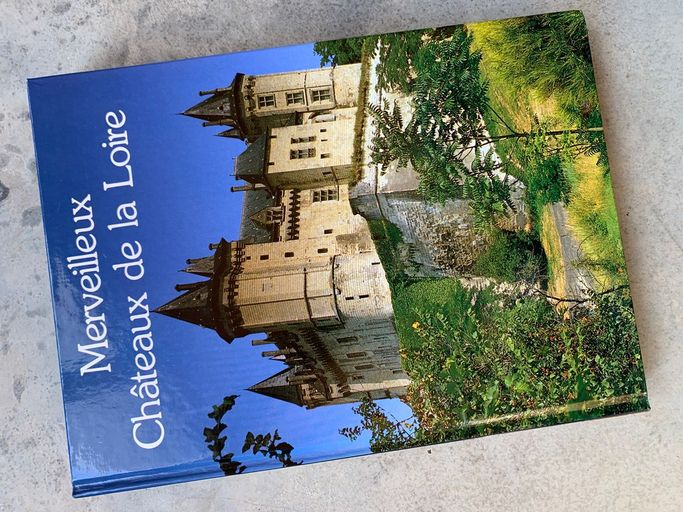 MERVEILLEUX CHATEAUX DE LA LOIRE | Sylvie MERELLI