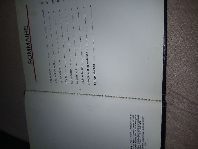 Le schnauzer | Jules