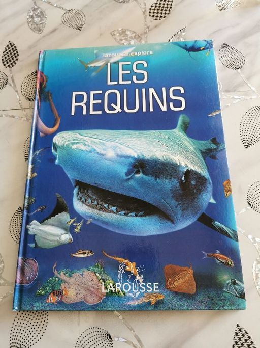 Les requins | Larousse
