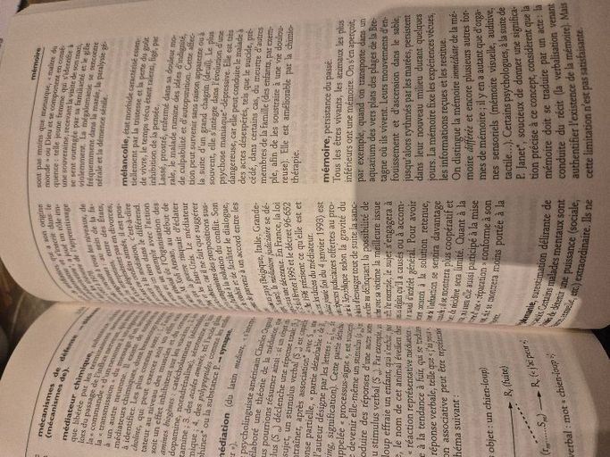 Dictionnaire de psychologie | Larousse