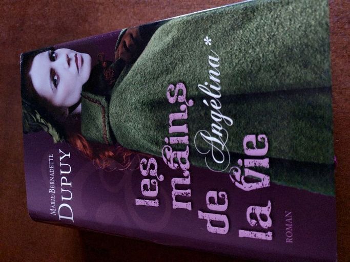 Angelina 1 les mains de la vie | Marie Bernadette Dupuy