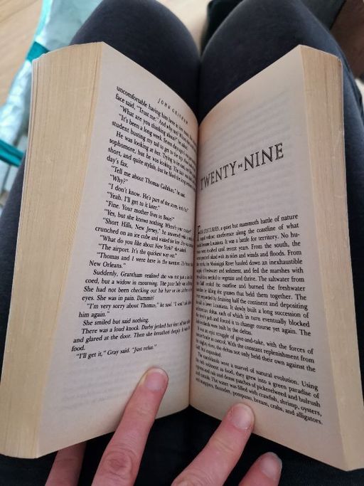 The pelican brief | John GRISHAM