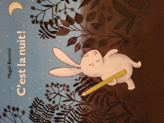 C'est la nuit! | Magali Bonniol