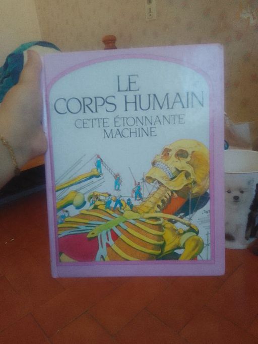 Le corps Humain cette Étonnante machine | Steve Parker