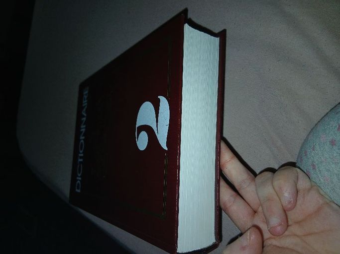 Dictionnaire | Larousse