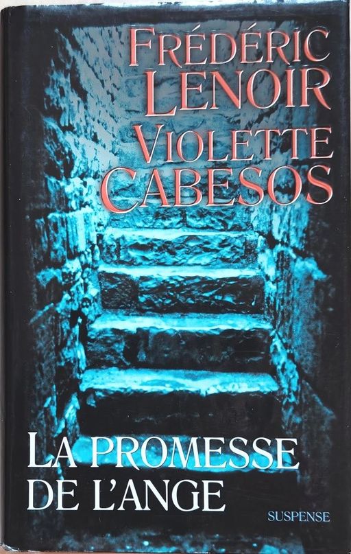 La promesse de l'ange | Frédéric Lenoir et Violette Cabesos