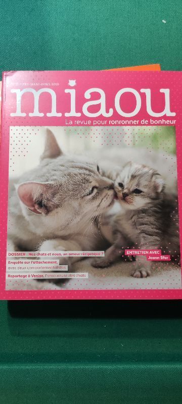 Miaou pour ronronner de bonheur n°5 - Nos chats et nous | Pierre Olovier Bonfillon