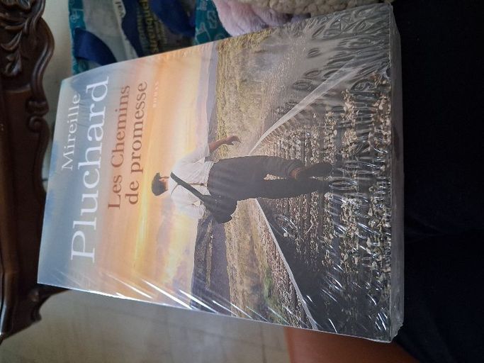Les chemins de la promesse | Mireille pluchard