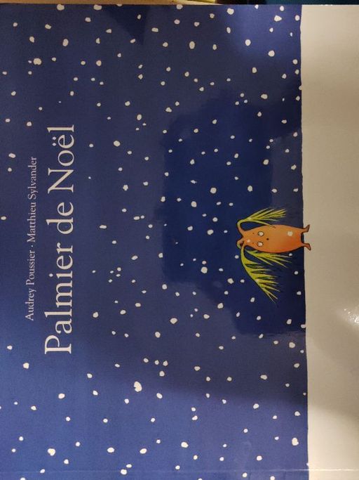 Palmier de Noël | Audrey Poussier Matthieu Sylvander